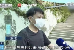 网红吃瓜兄妹是谁啊,网络红人的双胞胎传奇