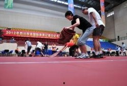 某体育记者爆料视频大全,精彩瞬间视频大全回顾