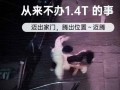 爆料视频打架是真的吗,真相究竟如何？