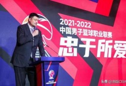 中国赛季爆料最新消息,中国足球联赛最新爆料揭秘