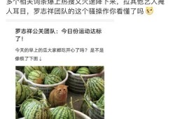 有没有网红吃瓜的网站,揭秘热门网站背后的瓜界风云