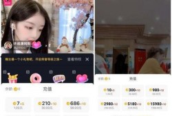 抖音爆料视频的主播网名,揭秘神秘主播背后的故事