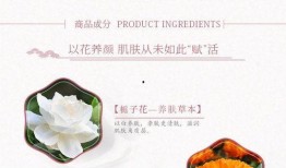 霜生花完整版在线观看,穿越时空的浪漫传奇，在线观看完整版