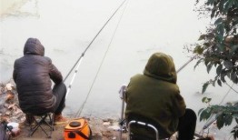 钓鱼爆料视频最新版,揭秘钓鱼技巧与陷阱