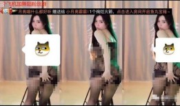 直播露出在线观看,在线观看潮流下的实时互动体验