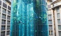 德国鱼缸爆料视频大全,揭秘水族世界精彩瞬间