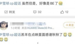 雪球cp最新爆料是谁啊,神秘人物揭晓，真相即将揭晓！