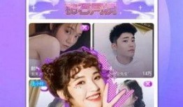 麻浦兄妹爆料视频播放下载,独家播放下载，揭秘幕后真相