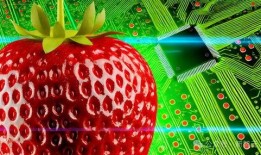 甜蜜草莓爆料视频大全,甜蜜草莓爆料视频全集盘点