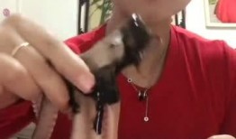 海某大姐最新爆料,揭秘娱乐圈惊人内幕