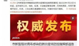 武汉疫情爆料视频,疫情真相与防控挑战