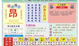 澳门最新爆料快报网站