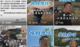 宇哥爆料视频大全最新版,最新版揭秘娱乐圈幕后真相