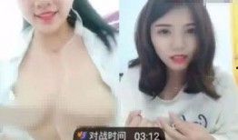 直播露出在线观看,在线观看潮流下的实时互动体验