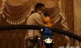 马蓉母亲爆料王宝强视频,一场家庭纷争的幕后黑幕