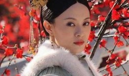 百度甄嬛传在线全集观看,宫廷权谋与情感纠葛的巅峰之作