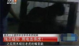 屠宰最新爆料视频播放