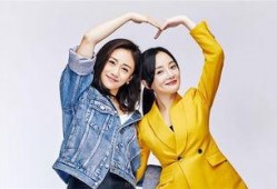 吐槽大会刘芸视频 爆料,娱乐圈背后的真实故事