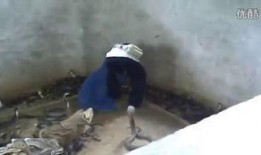 泥娃养殖爆料怎么做视频,打造独特视频内容攻略