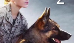 战犬 在线观看,忠诚守护，生死较量