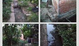 长春养猪场爆料视频大全,揭露养殖行业背后真相