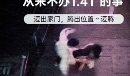 爆料视频打架是真的吗,真相究竟如何？