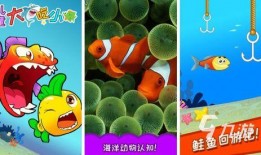 娱乐吃瓜小小鱼,揭秘娱乐圈幕后故事