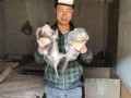 泥娃养殖爆料怎么做视频,打造独特视频内容攻略