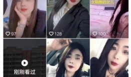 河东主播被杀爆料视频,网络暴力下的悲剧