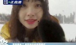 天涯爆料王冰冰被打视频,王冰冰被打事件视频曝光，真相令人震惊