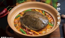 麻辣甲鱼爆料视频教程完整版,一招解锁正宗川菜风味