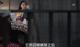 北影小姐姐爆料视频,揭秘校园生活幕后故事