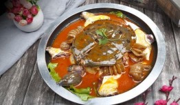 麻辣甲鱼爆料视频教程完整版,一招解锁正宗川菜风味