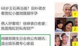 爆料娱乐圈模板,揭秘明星背后的惊人真相！