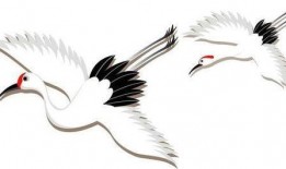 爆料仙鹤特效视频下载免费