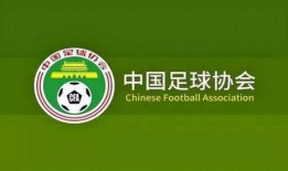 中国爆料最新消息,揭秘重大事件背后真相