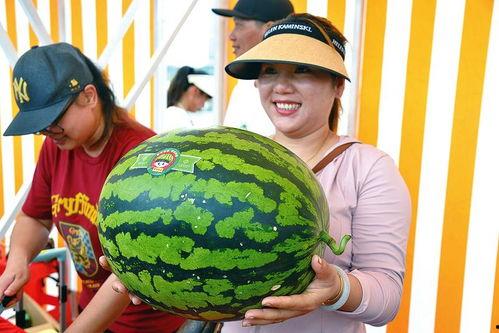 娱乐的吃瓜,揭秘明星幕后故事