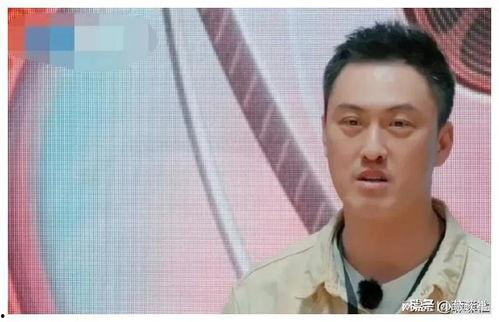 娱乐圈旧瓜怎么吃