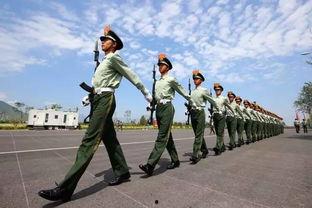 娱乐吃瓜酱水龙头方队