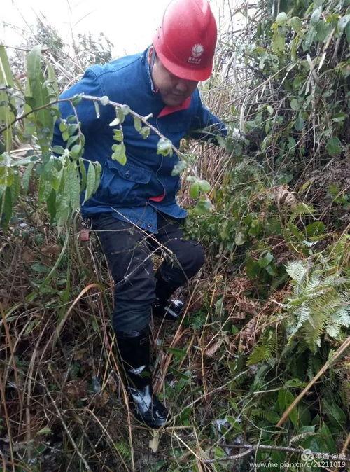 娱乐吃瓜酱拐进山里,拐进神秘山林探险记