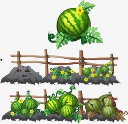 娱乐吃瓜头像图片图文素材,吃瓜群众必备的明星头像图文素材大盘点