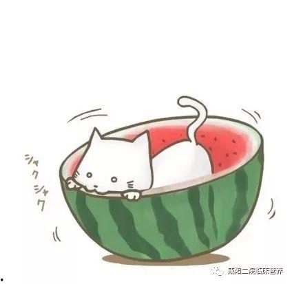 娱乐吃瓜头像图片图文素材,吃瓜群众必备的明星头像图文素材大盘点