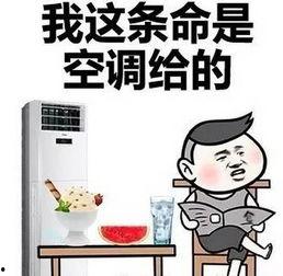 娱乐吃瓜酱空调冷知识,娱乐吃瓜酱带你领略科技魅力