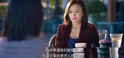 娱乐圈吃瓜大妈小说