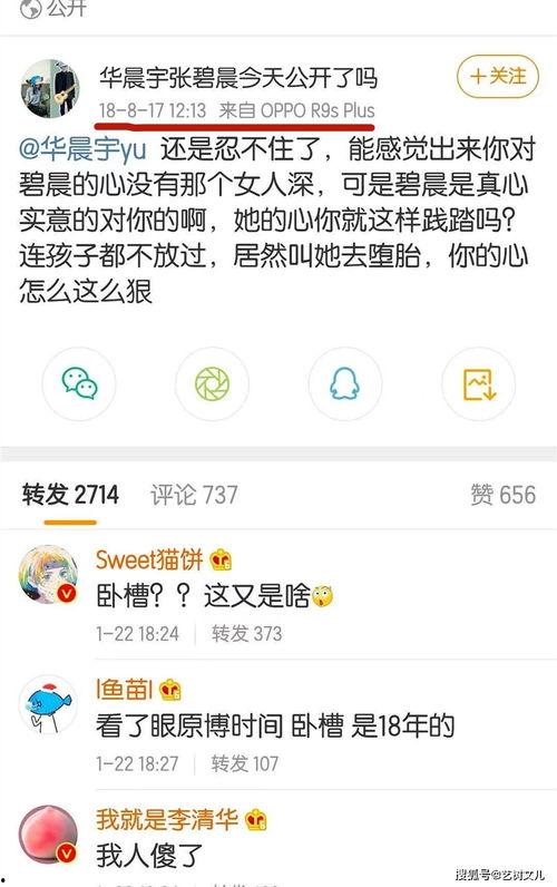 娱乐吃瓜酱英文翻译是什么,From 'Entertainment Gua Sauce' to English: A Glimpse into the Global Buzz of Celebrity Gossip